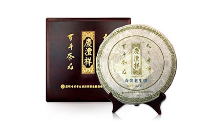 春尖老生茶